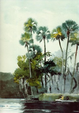 Homosassa River Winslow Homer watercolour Oil Paintings